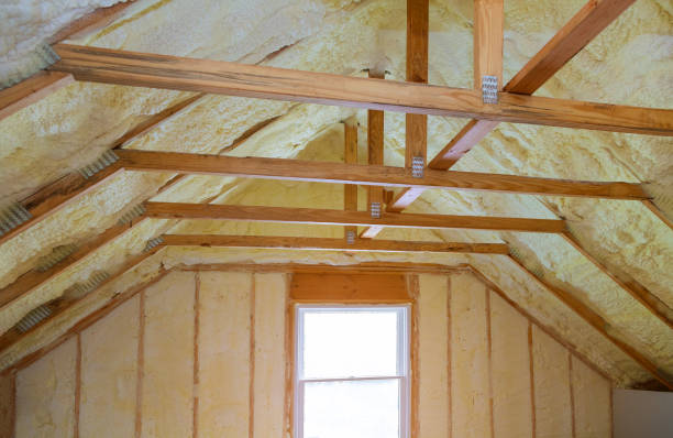Best Crawl Space Insulation  in Watauga, TX