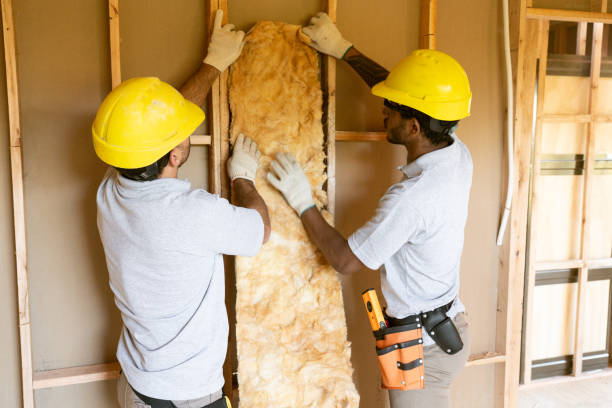 Best Spray Foam Insulation  in Watauga, TX